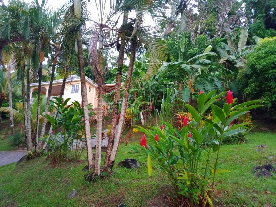Martinique La Petite Maison Dans La Colline Le Lamentin Eksteriør billede