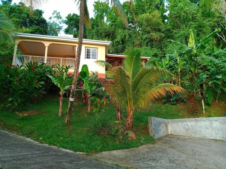 Martinique La Petite Maison Dans La Colline Le Lamentin Eksteriør billede